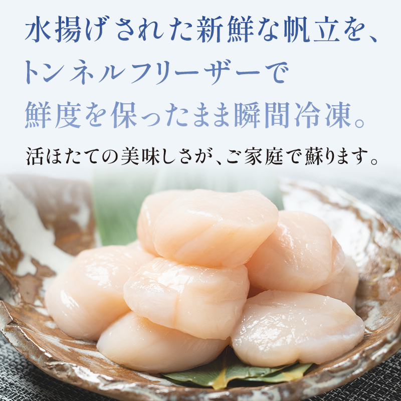 北海道産冷凍ホタテ貝柱大（500g×2パック）「1kg」 ＜ワイエスフーズ＞ 小分け チャック付き 海鮮丼 森町 魚貝類 帆立 ホタテ ほたて 魚介類 貝 ふるさと納税 北海道 訳あり mr1-074