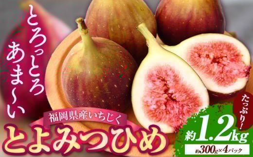 いちじく産 ブランド いちじく とよみつひめ 約1.2kg (約300g×4パック) 【配送不可地域あり】【日付指定不可】 《令和5年8月中旬-9月末頃出荷(土日祝除く)》 いちじく イチジク 果物 フルーツ