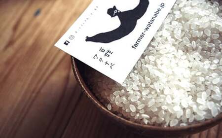 【令和7年産 新米 先行予約】 特別栽培米 雪若丸 (精米) 10kg 《令和7年9月中旬～発送》 『最上園』 米 白米 ご飯 農家直送 山形県 南陽市 [1977-R7]