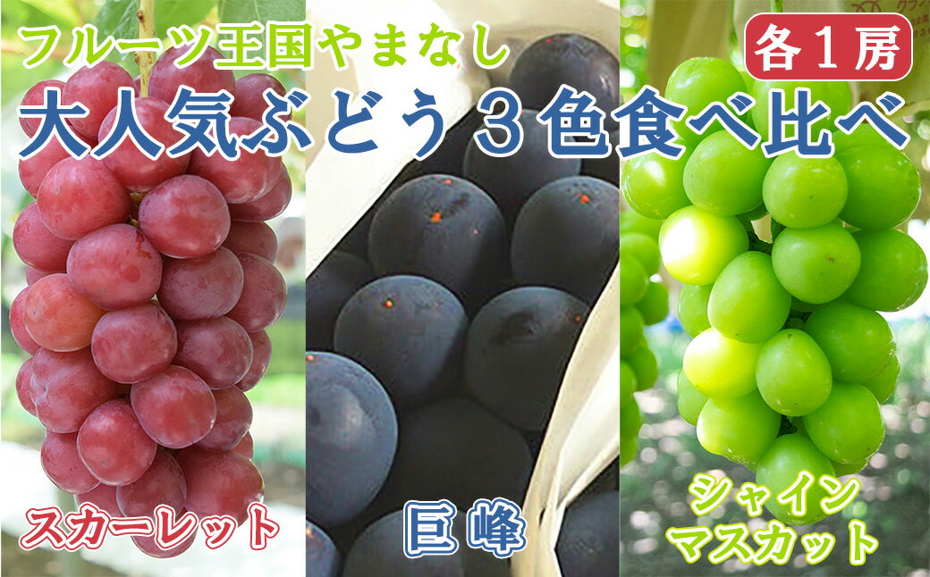 【ふるさと納税】【2026年発送分】【数量限定】【フルーツ王国山梨】3色ぶどう食べ比べセット（巨峰・シャインマスカット・スカーレット 各1房・約2kg）　ぶどう 葡萄 ブドウ 赤ぶどう 黒ぶどう くだもの フルーツ 果物 食べ比べ お試し 山梨 やまなし 富士川町