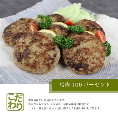 ふるさと納税 産山村 馬肉ハンバーグ　150g×10個(産山村) |  | 01