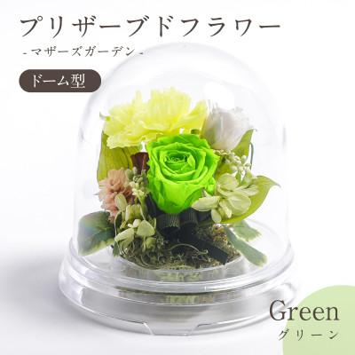 ふるさと納税 羽島市 プリザーブドフラワー ドーム型アレンジ 【マザーズガーデン(グリーン)】