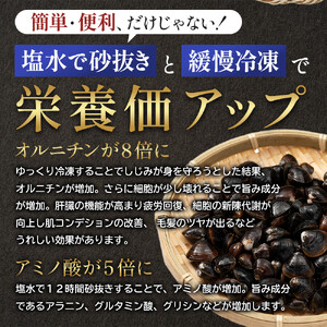 宍道湖産冷凍しじみМサイズ（殻幅12mm～14mm）220ｇ×10袋