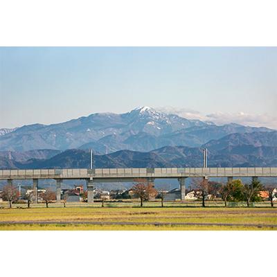 ふるさと納税 能美市 【毎月定期便】石川県産4種のお米食べ比べ定期便　10kg×4ヶ月連続全4回 |  | 03