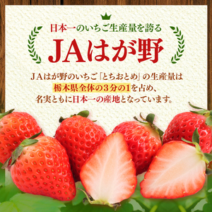 【2025年先行予約】JAはが野厳選！ とちあいか (290g×4パック）約1,160g 