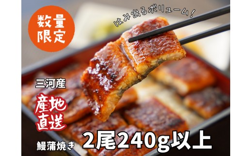 
                  三河産うなぎ 蒲焼 《2尾（計240～250g）》「生産者愛知養魚｣がお届け・A092-12
                