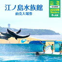 【ふるさと納税】チケット 神奈川 【新江ノ島水族館】前売入場券（大人1枚、幼児1枚）有効期間2025年5月1日～6ヵ月間 水族館 前売 入場券 江ノ島 藤沢市 神奈川県 プレゼント ギフト　お届け：2025年4月10日～4月30日まで