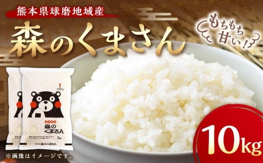 熊本県球磨地域産 【令和7年産】森のくまさん 10kg 米 お米 精米 白米 ご飯 ごはん 国産 熊本県