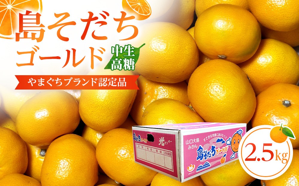 
                  【やまぐちブランド認定品】2026年12月頃より順次発送!島そだちゴールド(中生・高糖) 2.5kg
                