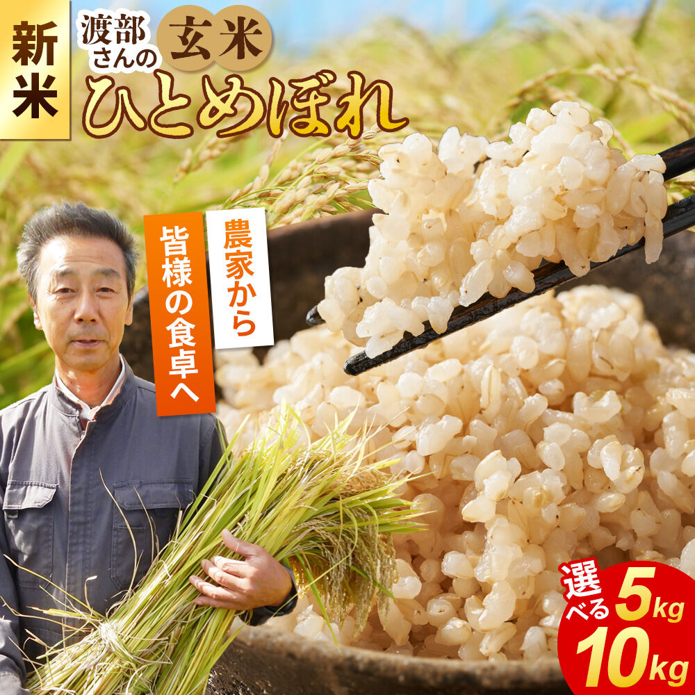 【ふるさと納税】《令和8年産 新米》【玄米】 ＜通算5回 特A＞ ひとめぼれ【選べる 容量：5kg／10kg】農家直送 渡部さんのひとめぼれ [ひとめぼれ 新米 米 お米 こめ 玄米 ブランド米 食卓 おにぎり 秋田県産 秋田県 由利本荘市]