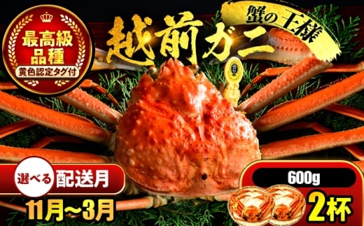 【先行予約】 【1月配送】 越前がに 600ｇ×2杯 小浜市 / まるほ商店 【配送不可地域：北海道・沖縄・離島】[BFCS019-1]