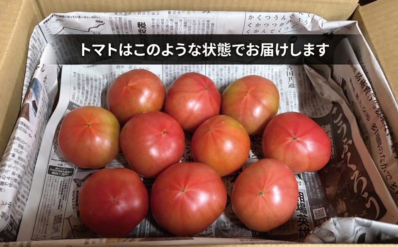 ハウス桃太郎トマト4kg トマト 野菜 やさい 果物 とまと  tomato 甘い リコピン トマト フルーツ 先行予約 10000円 2026年 産地直送 数量限定 農家直送 鮮度 新鮮 土耕栽培 