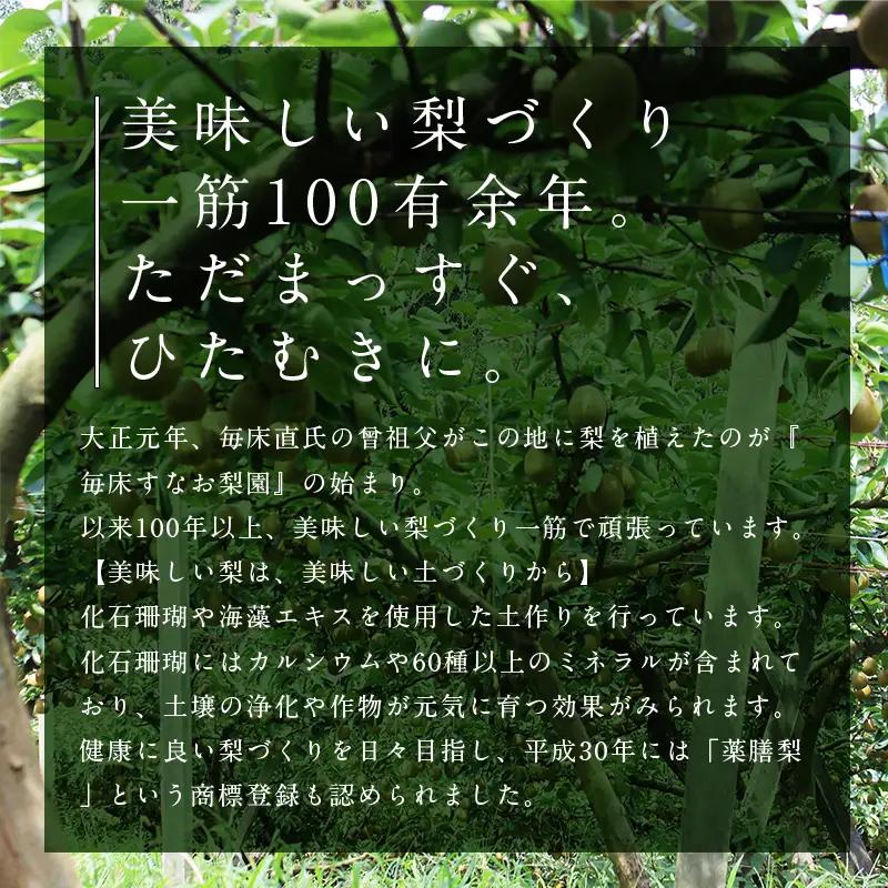FKP9-723 【訳あり】マンゴー梨（王秋梨） 約4kg なし ナシ 梨 デザート フルーツ 果物 くだもの 果実 食品