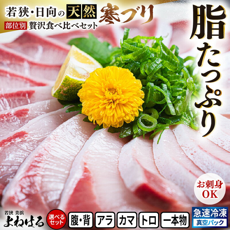 【ふるさと納税】【先行予約】若狭・日向 天然寒ブリ 脂たっぷり 部位ごと食べ比べ 【選べるセット内容／腹／背／トロ／カマ／アラ／一本物】【2026年12月下旬以降順次発送】【ぶり 鰤 刺身 フィレ 切り身 海鮮丼 ぶりしゃぶ 照り焼き ぶり大根 冬の旬 冷凍 美浜 ひるが】