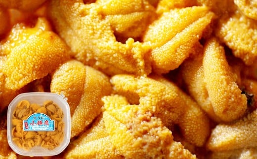 生うに 200g うに ウニ キタムラサキウニ 塩水パック 魚介類 水産物 海産物 海鮮 ホイル焼き 茶わん蒸し パスタ うに鍋 うにしゃぶ 刺身 ウニ丼 海鮮丼 手巻き寿司 海の幸 北海道 小樽市【2026年6月上旬-7月下旬 発送予定】