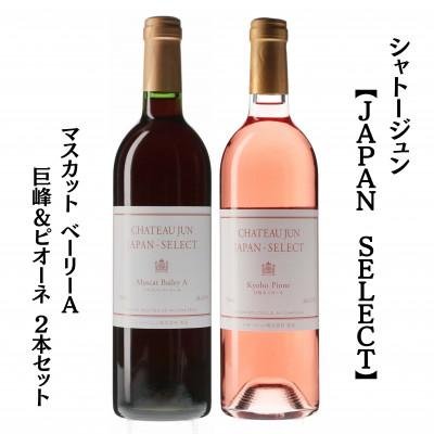 ふるさと納税 甲州市 シャトージュン　【JAPAN SELECT】マスカット ベーリーA 巨峰&amp;ピオーネ 2本セット