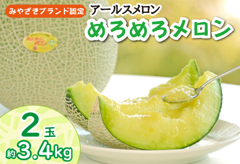 【先行受付・宮崎ブランドフルーツ】小林市産アールスメロン”めろめろメロン”　青肉2玉セット 3.4kg程度（フルーツ メロン 2025 先行予約 果物 人気 限定 宮崎 小林市）