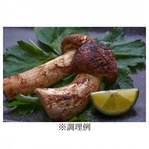 ≪ご家庭用に≫　岩泉まつたけ  300g_野菜 松茸 きのこ まつたけ マツタケ_【配送不可地域：離島】【1424099】