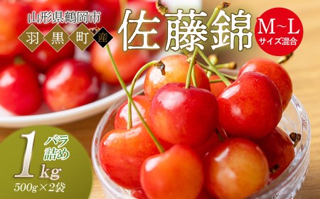 【令和8年産先行予約】さくらんぼ 佐藤錦 M～Lサイズ混合 バラ詰め 1kg (500g×2P) 庄内さくらんぼ園