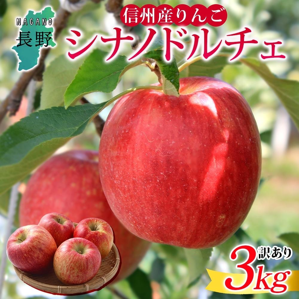 【ふるさと納税】＜26年発送 先行予約＞長野県産 りんご シナノドルチェ 訳あり 約3kg リンゴ 旬 フルーツ 訳アリ 林檎 果物 規格外 自家用 産地直送 農園 産直 お取り寄せ もぎたて 採れたて 送料無料 堀田農園 信州 大町市