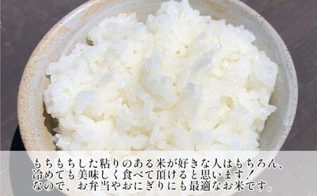 2ヶ月定期便　令和6年産　ミルキークィーン　白米　5kg