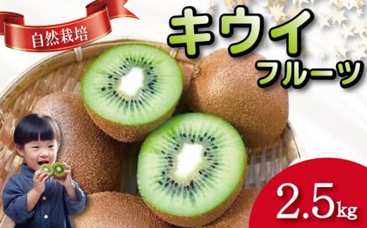 キウイ フルーツ 2.5kg キウイ 国産 フルーツ 果物 自然栽培 無農薬 ヨーグルト ジュース サラダ ビタミン 食物繊維 ダイエット 減量 美容 健康志向 お取り寄せ みその農園 徳島県 小松島市
