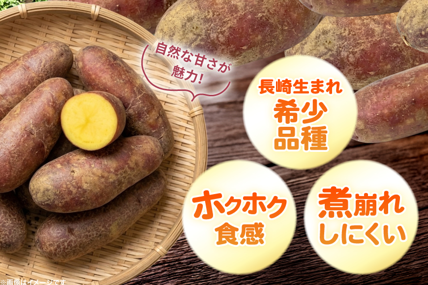 じゃがいも タワラヨーデル 5kg [けんぶちVIVAマルシェ 北海道 剣淵町 14656390] ジャガイモ 芋 いも ポテト 野菜 秋野菜 秋 常備野菜 カレー シチュー マッシュサラダ コロッケ