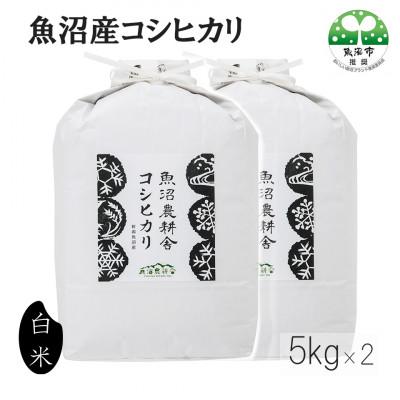 ふるさと納税 魚沼市 【令和8年産先行受付】米農家自慢の 魚沼産 コシヒカリ(精米)10kg(5kg×2袋)