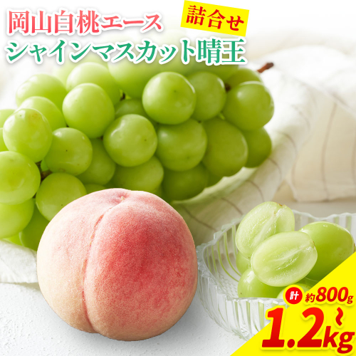 【先行予約】岡山県産 岡山白桃 エース L～ 3Lサイズ シャインマスカット 選べる 計 800g 1kg 1.2kg 詰合せ 株式会社 はちや《7月上旬-8月下旬頃出荷》もも 岡山 国産 フルーツ 果物 岡山県 浅口市 フルーツ モモ 果物【配送不可地域あり】