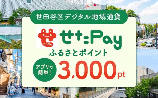 世田谷区 地域限定通貨「せたがやPay」 ふるさとポイント3,000pt（1pt＝1円）3,000円分 せたぺい デジタル地域通貨 電子決済 キャッシュレス 飲食 宿泊 体験 電子通貨 東京都 世田谷