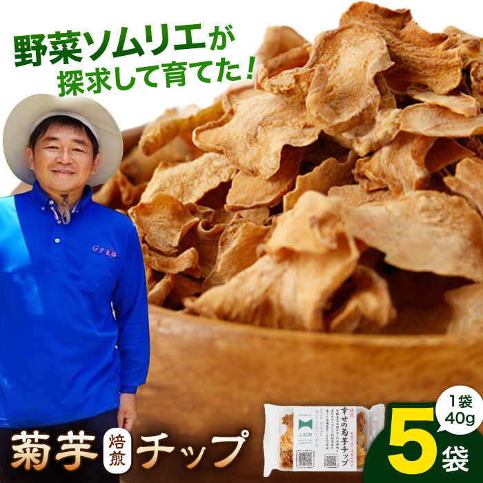 【ふるさと納税】菊芋 焙煎 チップ 200g (40g×5パック) / 菊芋チップ 国産 菊芋 チップス イヌリン きくいも キクイモ 野菜 芋 おやつ おつまみ ふりかけ トッピング 熊本 山都町 熊本県産 山都町産 健康 水溶性食物繊維【グリーンファーム矢部】[YDC003]