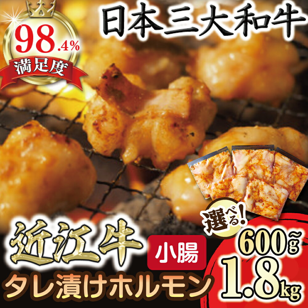 【ふるさと納税】味付けホルモン　秘伝のタレ漬け　近江牛小腸　600g～1,800g　選べる 小分けパック 便利 国産 牛肉 ブランド牛 日本三大和牛 近江牛 冷凍 送料無料