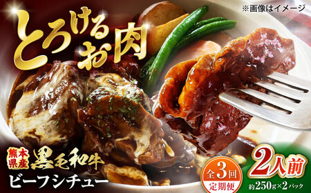 【全3回定期便】 熊本県産 くまもと黒毛和牛 黒毛和牛 こだわりのビーフシチュー 計2パック （約250g×2パック） ビーフシチュー ビーフ シチュー 牛肉 肉 　【有限会社スイートサプライなかぞの】[ZBV108]