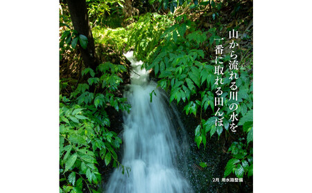 【定期便】新潟県佐渡産 令和7年産 【にこまる】 玄米 5kg×全5回