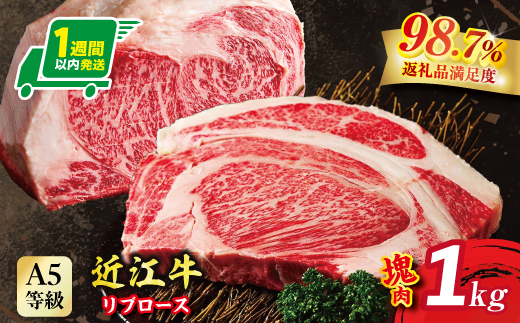 A5等級 未経産雌限定　近江牛リブロース　ステーキ　塊肉1kg折箱入【FO20W】