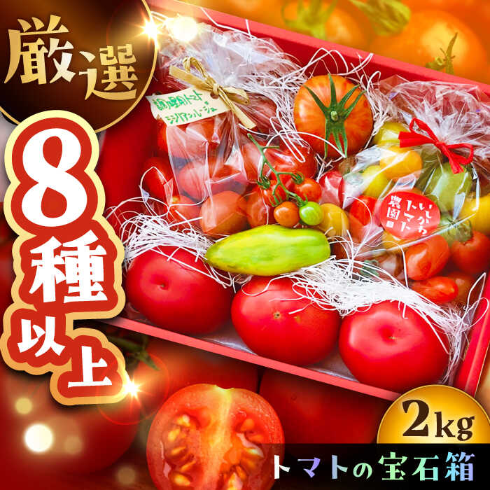 【ふるさと納税】トマトの宝石箱 2kg / トマト とまと 大玉トマト ミニトマト 詰め合わせ お取り寄せ 産地直送 とまと トマト 野菜 やさい プレゼント 岐阜市産 恵那市産 /恵那市/クリエイティブファーマーズ ［AUAH014］