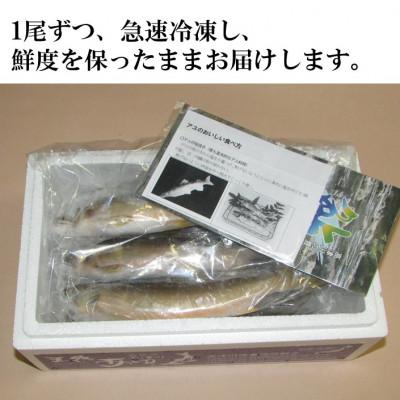 ふるさと納税 吉賀町 高津川天然あゆ冷凍　500g(吉賀町) |  | 01