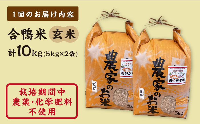 【先行予約】【全3回定期便】【先行予約】令和6年産 米作り名人完ちゃんの合鴨米 玄米 10kg 栽培期間中農薬化学肥料不使用 [YCT009]