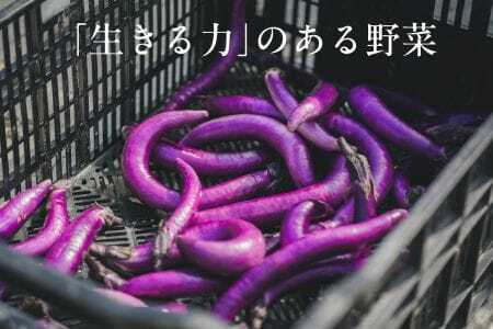 【毎月定期便】しあわせ野菜畑の有機野菜　Mセット（安心の有機JAS認証　旬のオーガニック野菜　農場直送便）全3回　6715