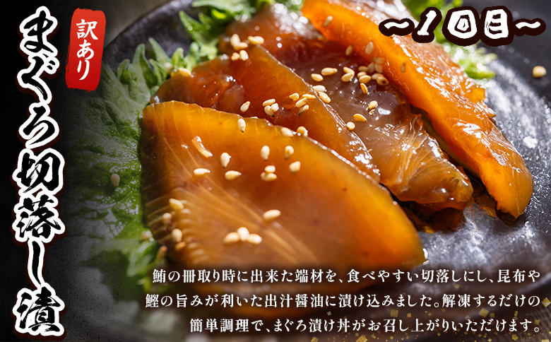 【6回定期便】マグロ かつおお楽しみ定期便 - 訳あり マグロ 鮪 カツオ 鰹 漬けマグロ たたき ネギトロ 配送回数 定期便 小分け 海鮮 魚介 冷凍食品 加工品 海鮮丼 刺身 株式会社大熊 高知県
