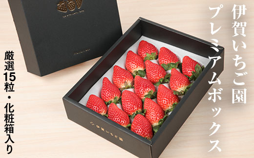 伊賀いちご園-プレミアムボックス-厳選15粒化粧箱入り | イチゴ ストロベリー strawberry 高級 贈答用 プレゼント ふくはる香 ゆうやけベリー ar001-aa