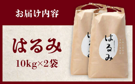 【特Aランク受賞実績あり！】はるみ 20kg(10kg×2袋)【遠藤ファーム】開成町 米 ご飯 白米 お米 特A[BDAF003]