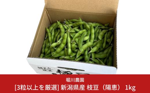 先行予約 [3粒以上を厳選] 新潟県産 枝豆（陽恵） 1kg [2025年発送分] 令和7年産 朝採りをお届け 枝豆 [堀川農園] 【017S023】