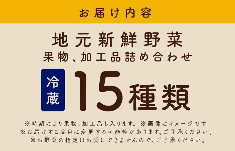 【スピード発送】 旬の野菜セット 15種類【国産 新鮮 おまかせ お楽しみ 旬 詰め合わせ 泉州野菜】 010B507
