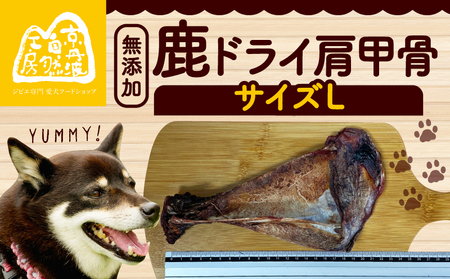 【大切な愛犬に】鹿ドライ肩甲骨Lサイズ（23㎝以上）（犬歯磨き 犬 犬ペット用品 犬おもちゃ7000円 犬用品