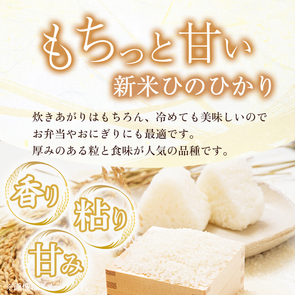 【CT008】【定期便 全3回】【令和7年産米】無洗米ヒノヒカリ 10kg×3回 お米 米 新米 ヒノヒカリ 無洗米 国産 人気 お弁当 宮崎県 小林市_イメージ3