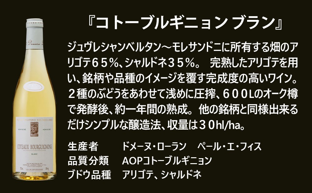 FD568 福智山ダム熟成 五つ星生産者ブルゴーニュ白4選-01