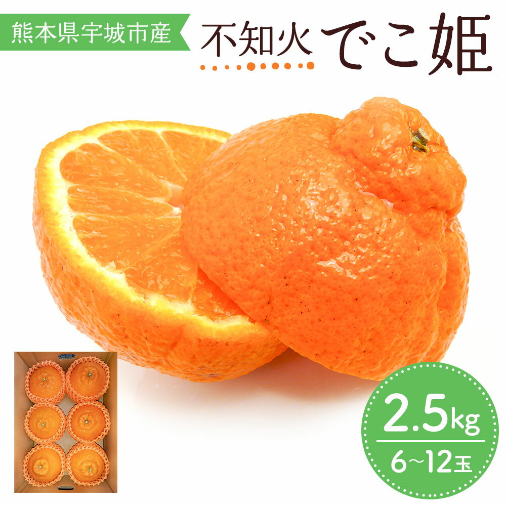 【ふるさと納税】【 先行予約 】 不知火 でこ姫 約2.5kg 6〜12玉 吉田レモニー 【2025年4月上旬〜2025年5月下旬発送】