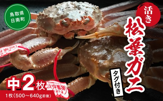 【活き】タグ付き松葉ガニ 中 2枚 (1枚500～640g前後) カニ 蟹 松葉ガニ 松葉がに かに 鳥取 高間商店 日南町