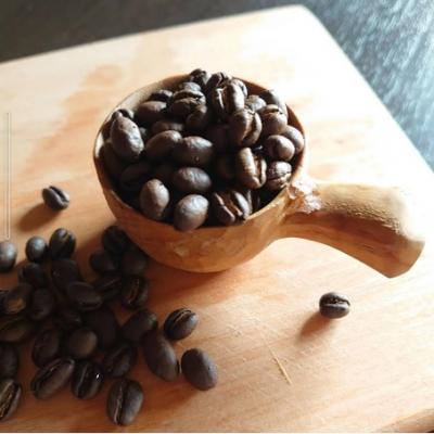 ふるさと納税 伊那市 スペシャリティコーヒー　パナマ　ゲイシャ　ラ・エスメラルダ農園　豆　100g×2袋